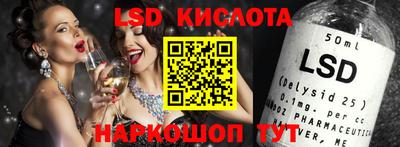 шишки Заволжье