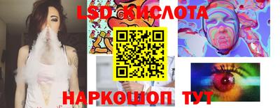 шишки Заволжье