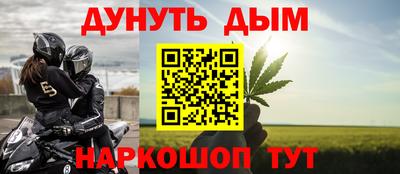 шишки Заволжье