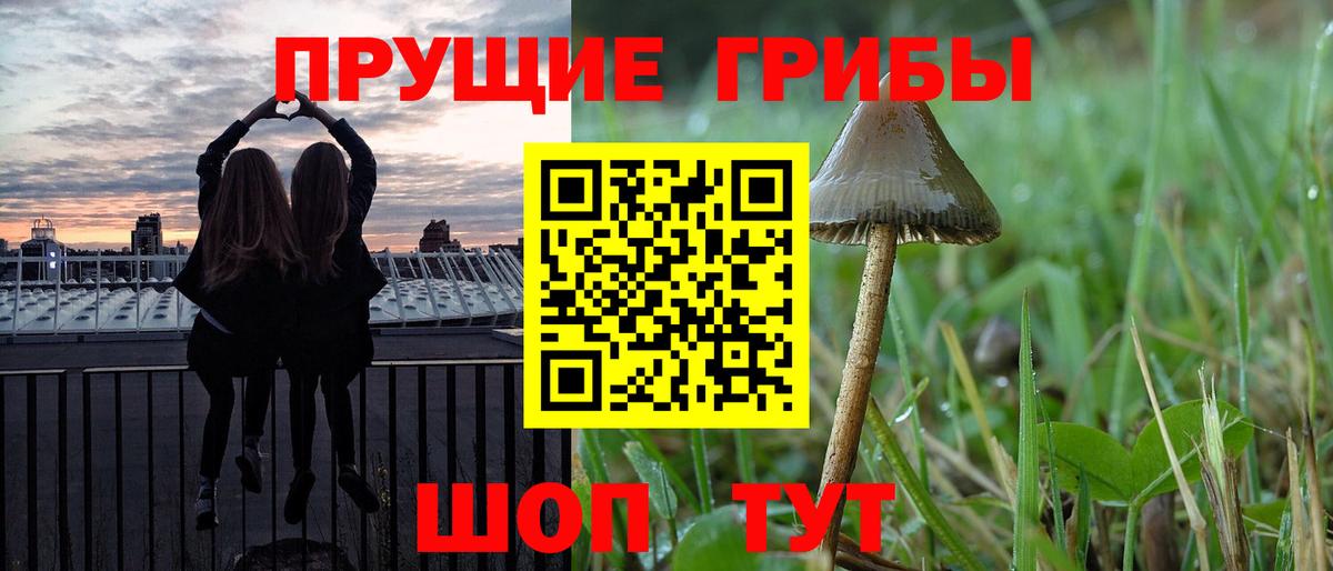 Миасс  где можно купить наркотик  Галлюциногенные грибы мухоморы  Вход с VPN  Псилоцибиновые грибы прущие грибы 